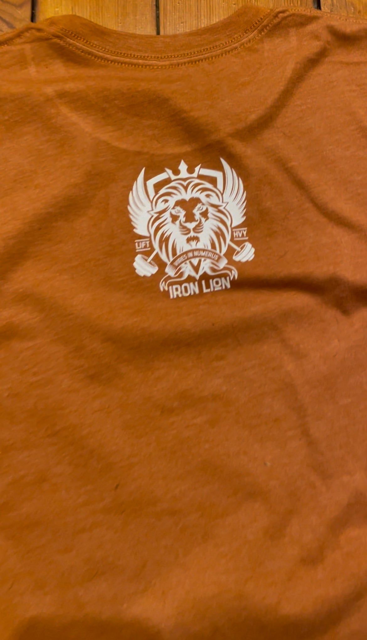 Iron Lion LFT HVY Unisex Tee